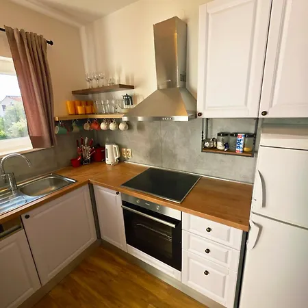 Angela * 오레비츠